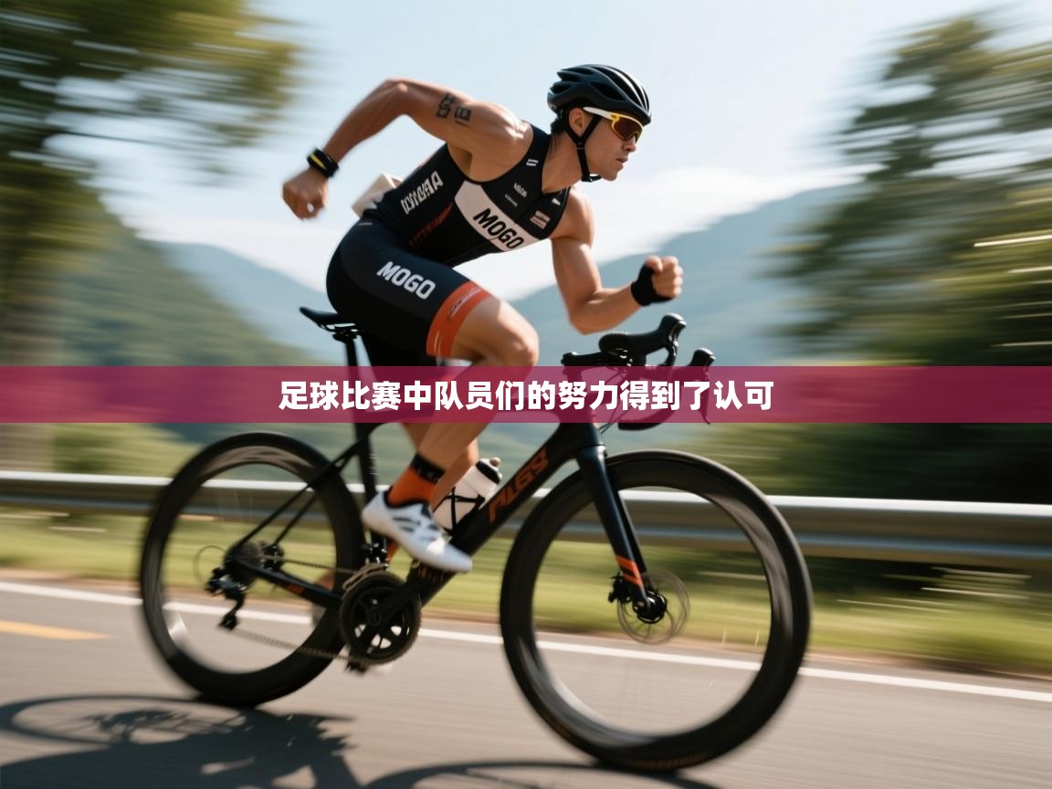 足球比赛中队员们的努力得到了认可