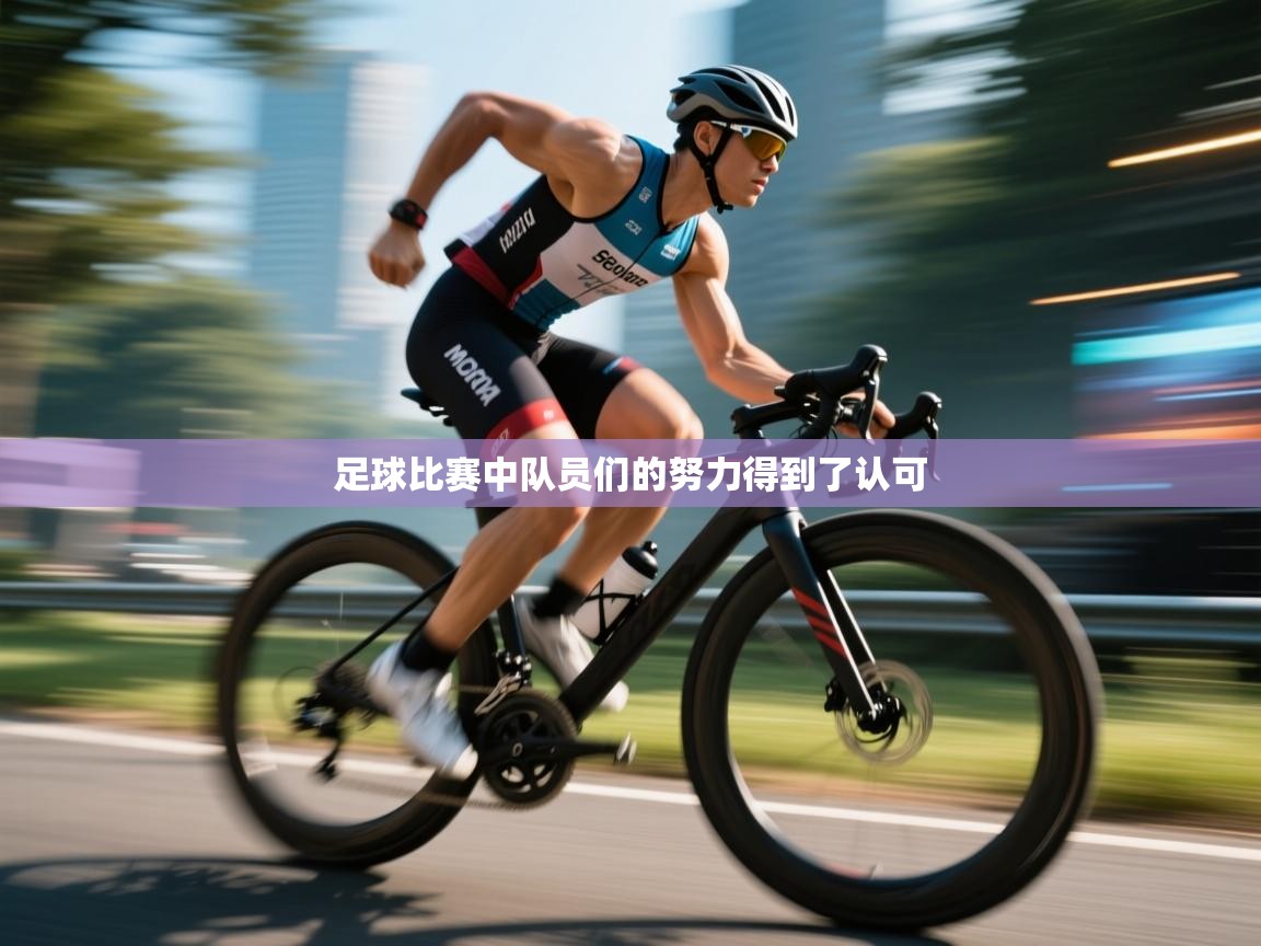 足球比赛中队员们的努力得到了认可 第2张