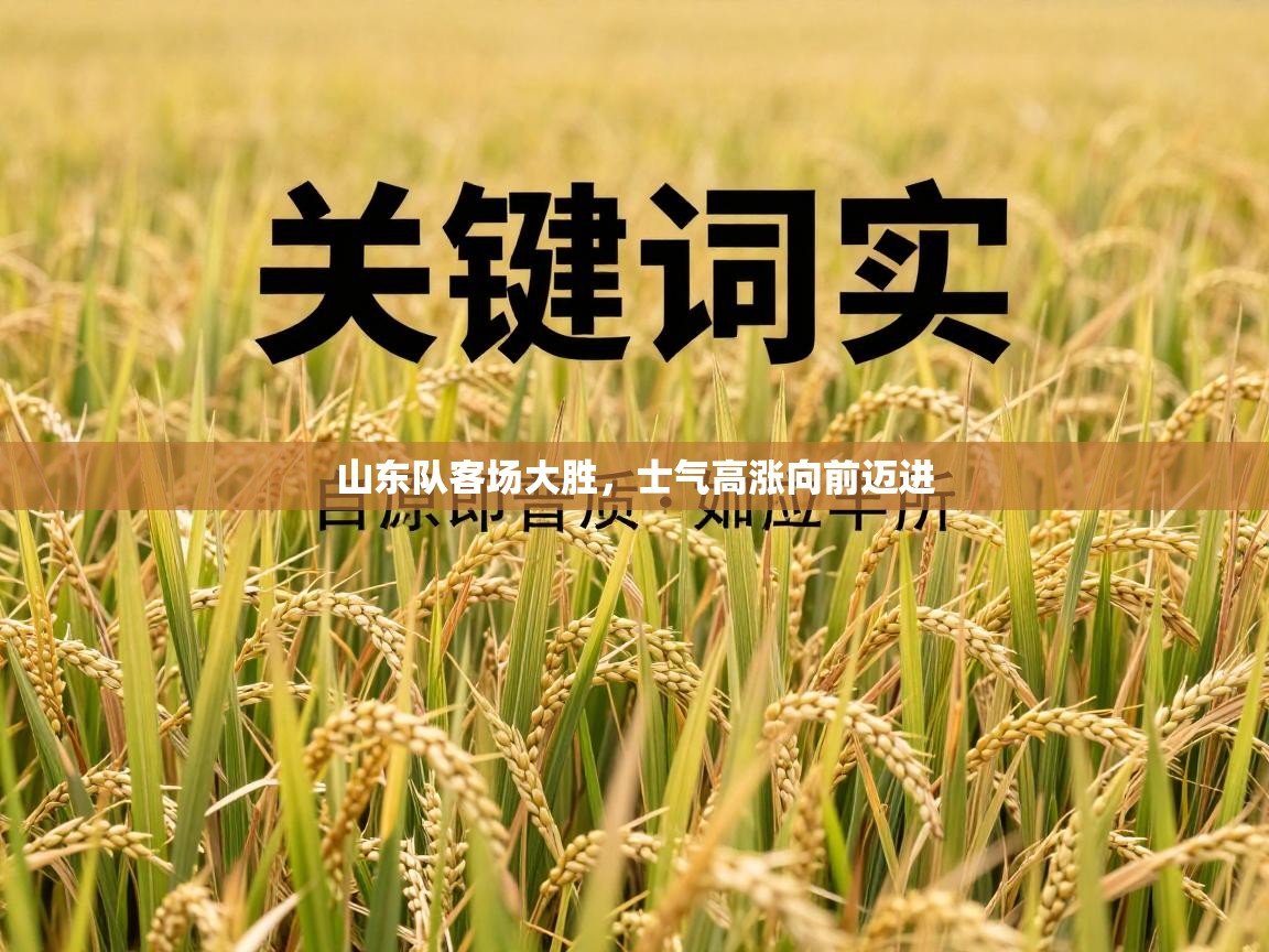 山东队客场大胜,士气高涨向前迈进 第1张