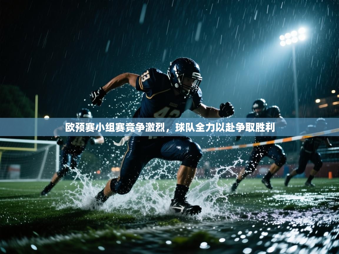欧预赛小组赛竞争激烈，球队全力以赴争取胜利  第2张
