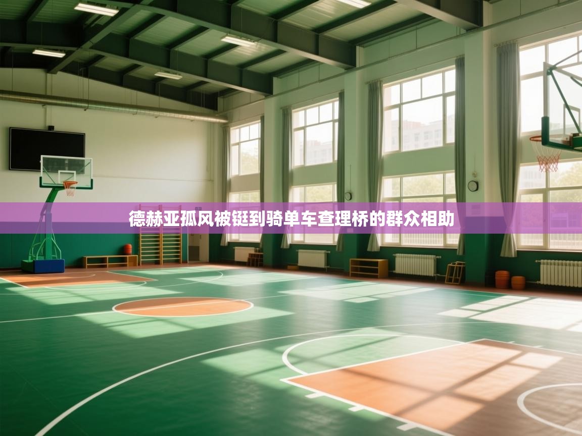 德赫亚孤风被铤到骑单车查理桥的群众相助  第1张