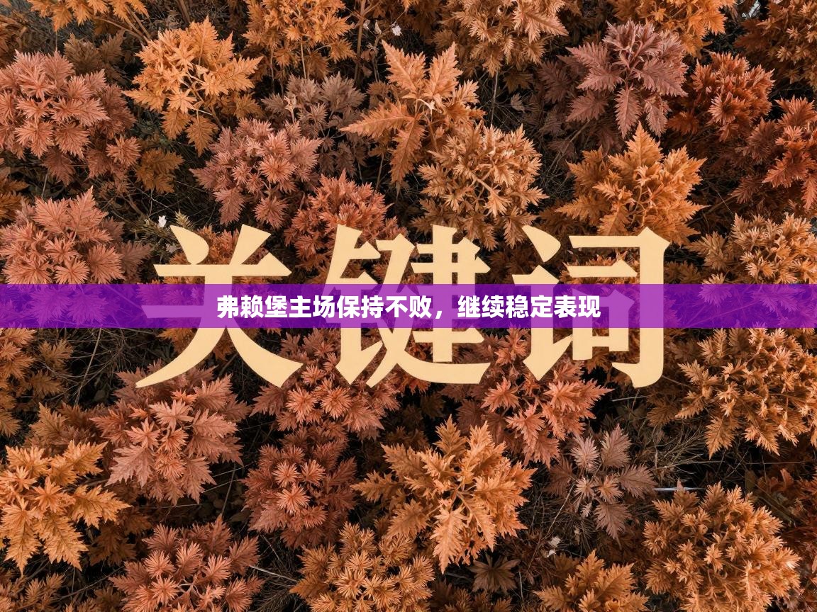 弗赖堡主场保持不败,继续稳定表现 第2张