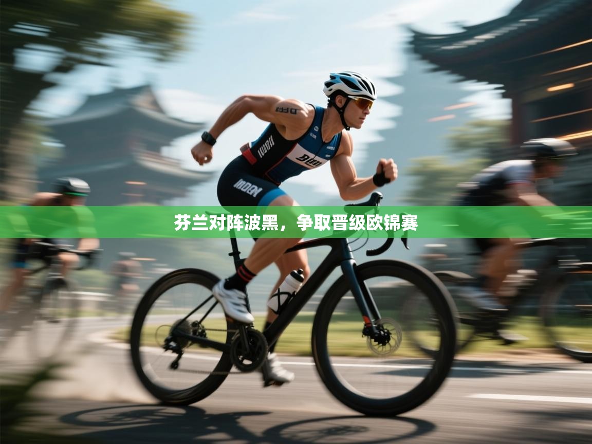 芬兰对阵波黑，争取晋级欧锦赛  第1张