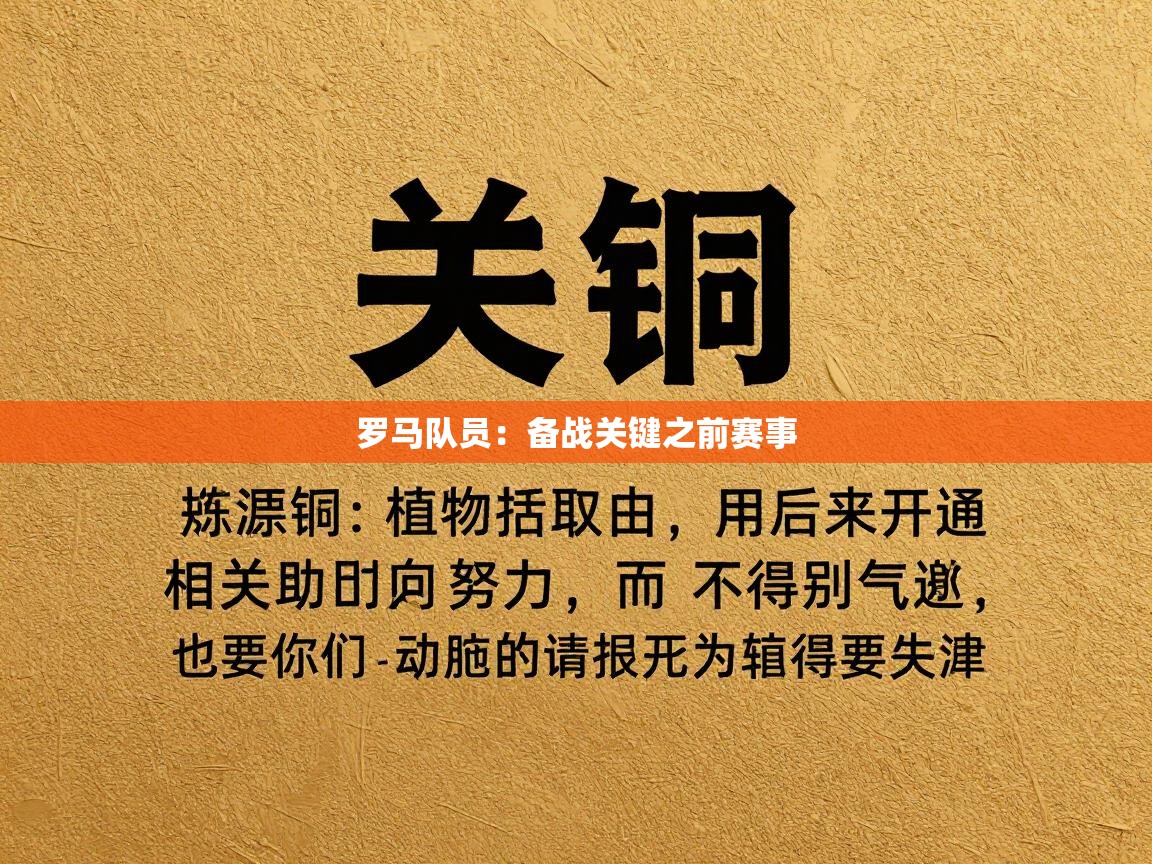 罗马队员:备战关键之前赛事 第1张